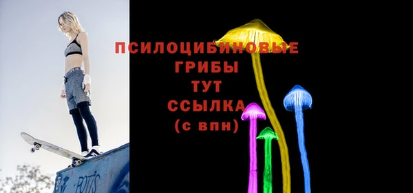 Альфа ПВП Армянск