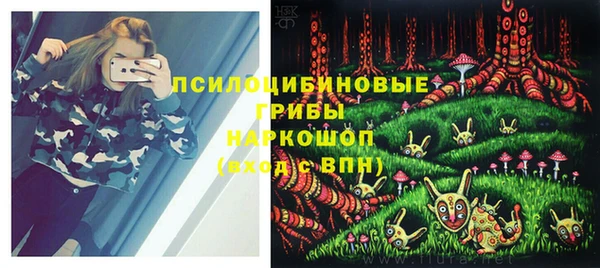 герыч Арсеньев