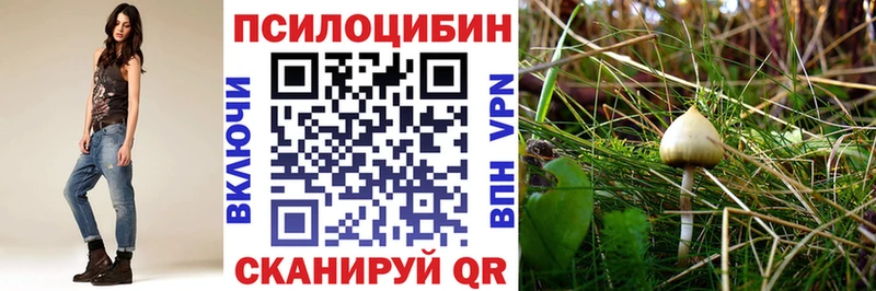 Псилоцибиновые грибы Psilocybe  Салаир 